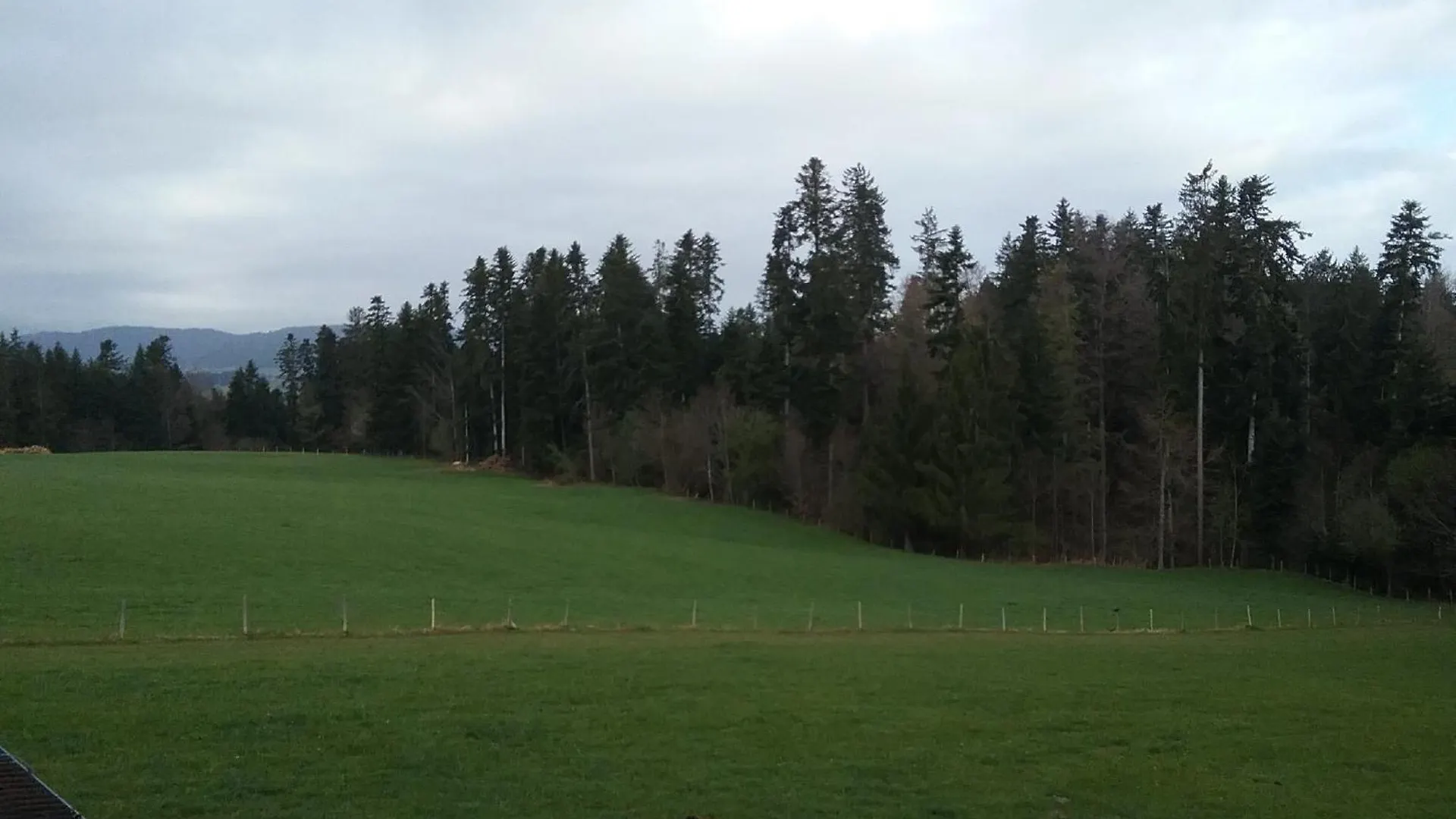 Apartment Haus Biggi - Ferienwohnung Hochgrat Weiler-Simmerberg